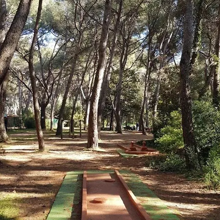 Lägenhet T2 A 200m Des Plages Et Commerces Avec Piscine, Tennis Et Parking Privatif - Fr-1-316-293 Six-Fours-les-Plages